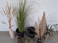 Partij decoratie - afbeelding 7 van  7