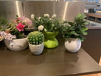 Partij decoratiemateriaal - afbeelding 3 van  12