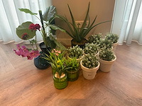 Partij decoratiemateriaal - afbeelding 1 van  4