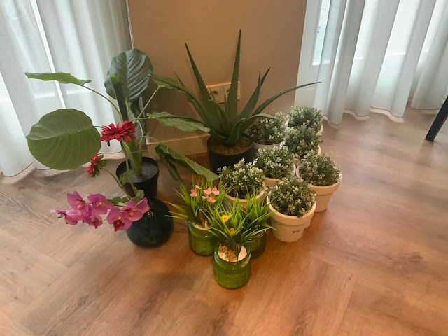 Partij decoratiemateriaal - afbeelding 3 van  4