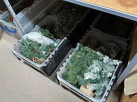 Partij decoratiemateriaal - afbeelding 32 van  46