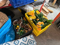 Partij decoratiemateriaal - afbeelding 7 van  10