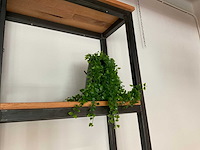 Partij decoratiemateriaal - afbeelding 2 van  6
