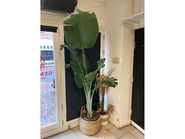 Partij decoratiematerialen - afbeelding 3 van  12