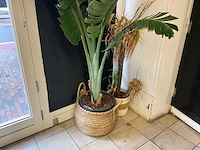 Partij decoratiematerialen - afbeelding 4 van  12