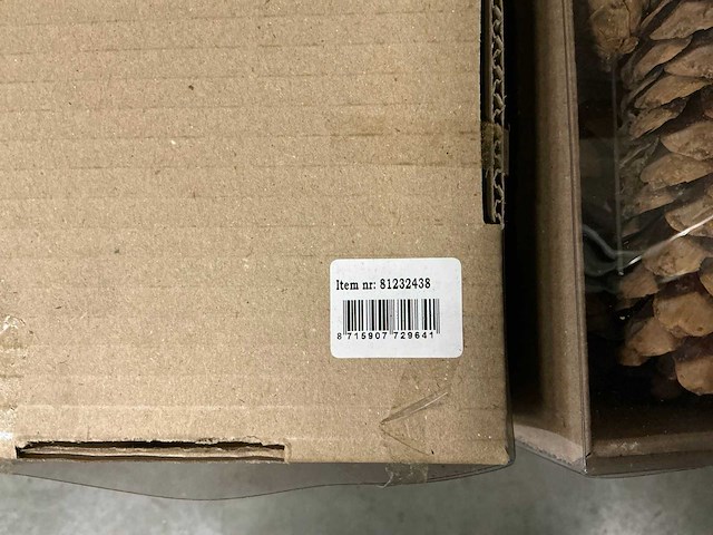 Partij decoratieve dennenappels (36x) - afbeelding 1 van  3