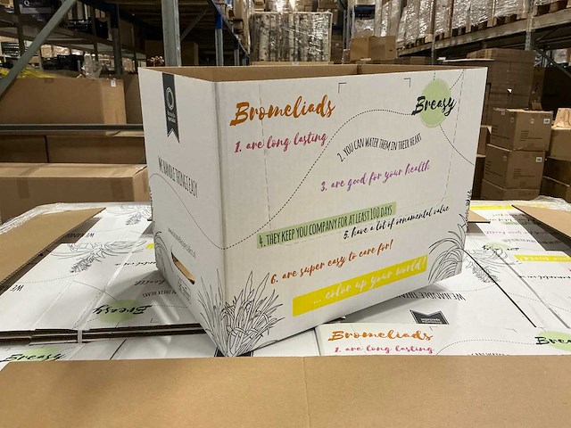 Partij deense omdoos bs 386x263x293mm (540x) - afbeelding 1 van  5