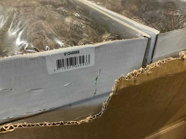 Partij dennenappels 10cm wire white wash (10700x) - afbeelding 5 van  6
