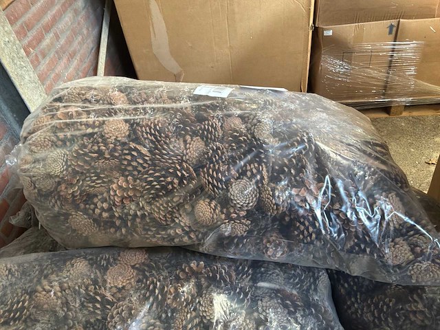 Partij dennenappels - afbeelding 2 van  4