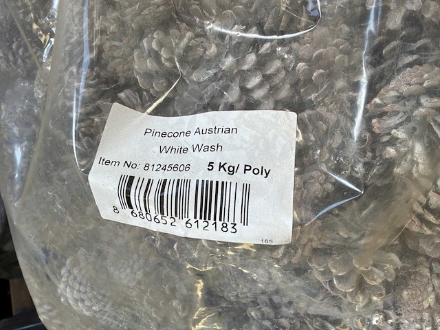 Partij dennenappels - afbeelding 3 van  3