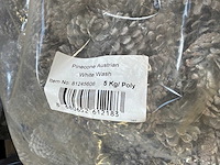 Partij dennenappels - afbeelding 3 van  3