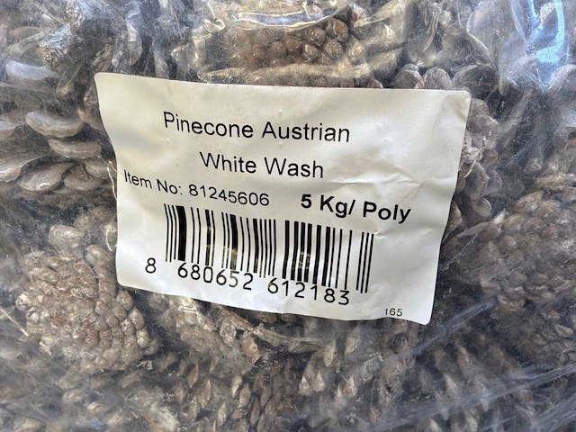 Partij dennenappels - afbeelding 1 van  1