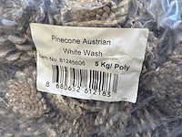 Partij dennenappels - afbeelding 1 van  1