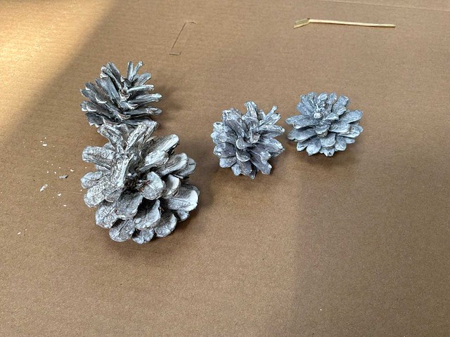 Partij dennenappels - afbeelding 1 van  6