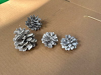 Partij dennenappels - afbeelding 2 van  6