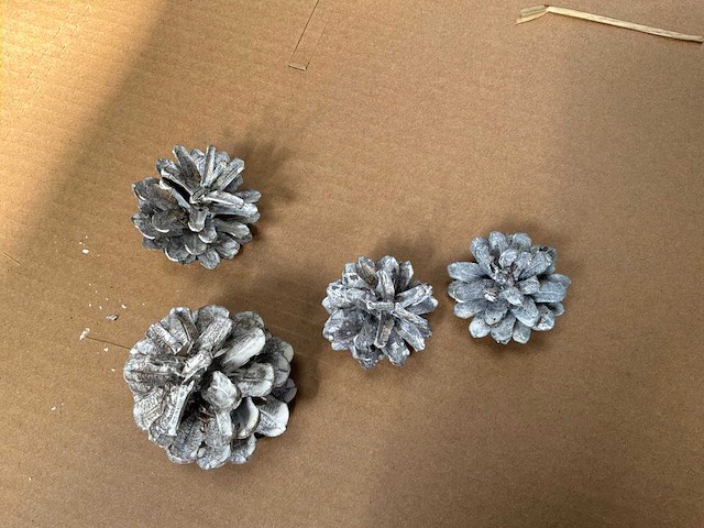 Partij dennenappels - afbeelding 3 van  6