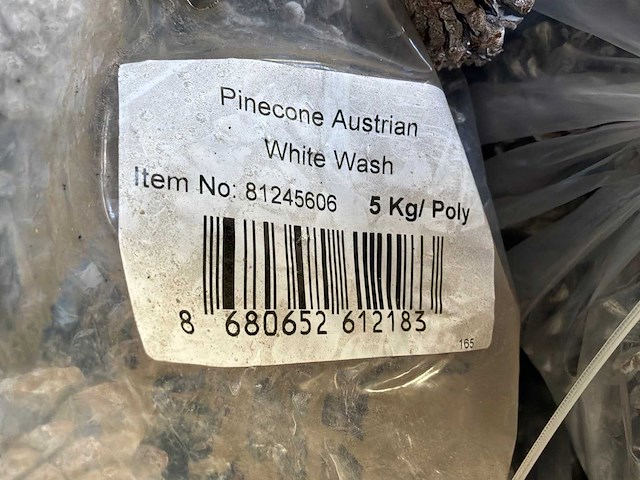 Partij dennenappels - afbeelding 5 van  6