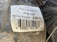 Partij dennenappels - afbeelding 5 van  6