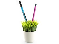 Partij dhink gras pennenstandaard (39x) - afbeelding 1 van  2