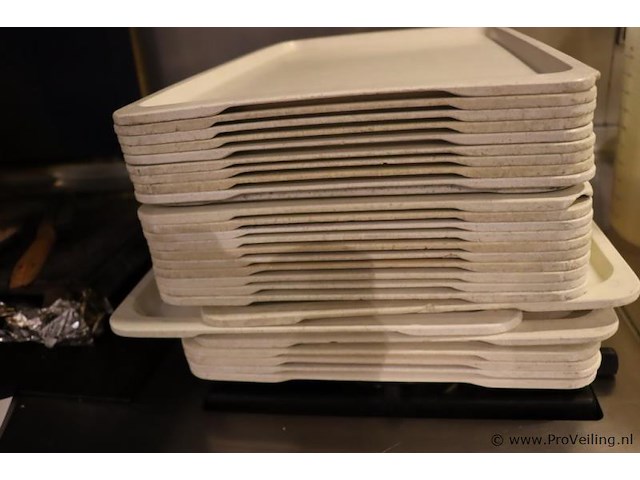 Partij dienbladen - afbeelding 3 van  4