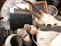 Partij divers in verhuisdoos - afbeelding 5 van  5