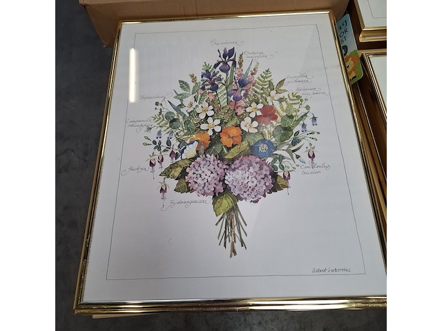 Partij diverse afbeelding in lijst - afbeelding 5 van  5