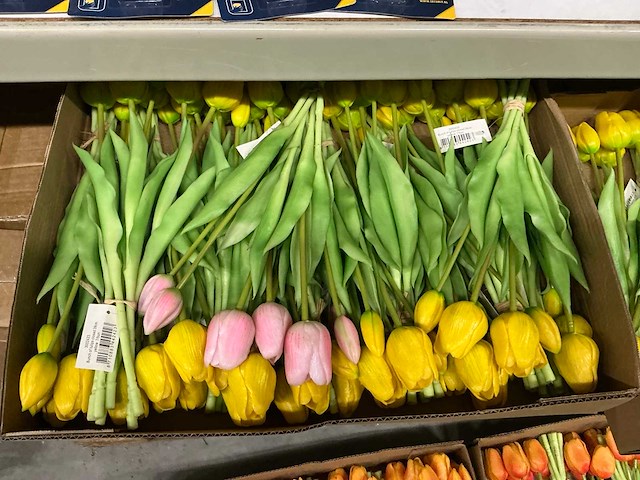 Partij diverse bunch of tullips 7/bun 39cm (60x) - afbeelding 2 van  8