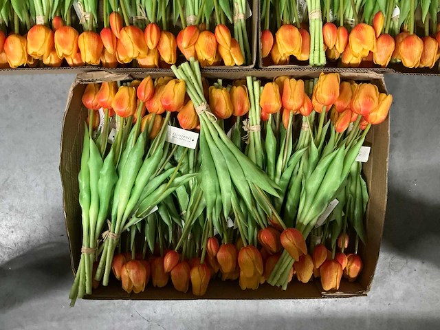 Partij diverse bunch of tullips 7/bun 39cm (60x) - afbeelding 6 van  8