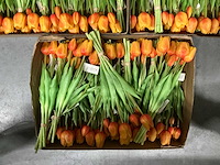 Partij diverse bunch of tullips 7/bun 39cm (60x) - afbeelding 6 van  8