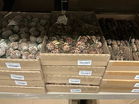 Partij diverse decoratieve artikelen (2365x) - afbeelding 2 van  11