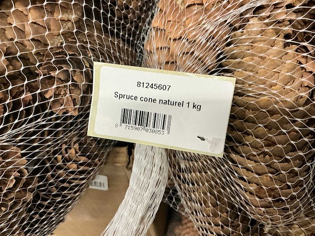 Partij diverse decoratieve dennenappels 1kg/net (39x) - afbeelding 3 van  4