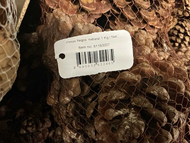 Partij diverse decoratieve dennenappels 1kg/net (39x) - afbeelding 4 van  4
