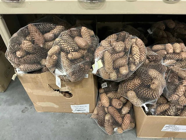 Partij diverse decoratieve dennenappels 1kg/net (39x) - afbeelding 2 van  5