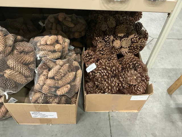 Partij diverse decoratieve dennenappels 1kg/net (39x) - afbeelding 3 van  5