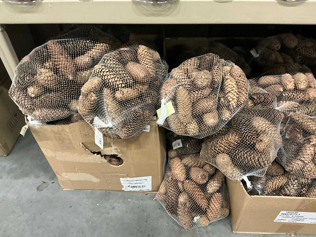 Partij diverse decoratieve dennenappels 1kg/net (39x) - afbeelding 2 van  3