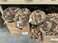 Partij diverse decoratieve dennenappels 1kg/net (39x) - afbeelding 2 van  3