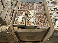Partij diverse decoratieve vogels/uilen (1056x) - afbeelding 4 van  6