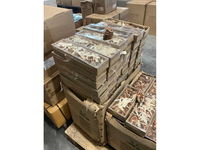 Partij diverse decoratieve vogels/uilen (1056x) - afbeelding 5 van  6