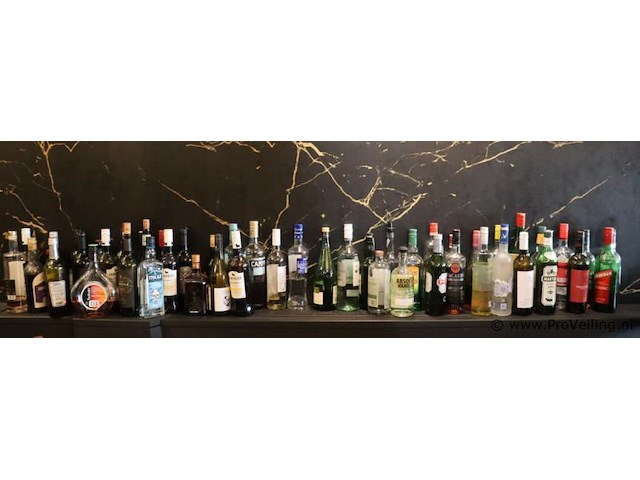 Partij diverse dranken (aangebroken) o.a. bacardi martini vermouth extra dry, safari, pisang ambon & coebergh classic - afbeelding 1 van  6