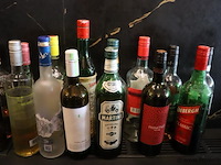 Partij diverse dranken (aangebroken) o.a. bacardi martini vermouth extra dry, safari, pisang ambon & coebergh classic - afbeelding 2 van  6