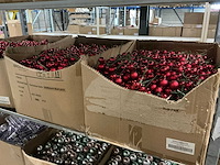 Partij diverse kerstballen op stok/pieken (4500x) - afbeelding 6 van  9
