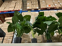 Partij diverse kunstplanten (8x)