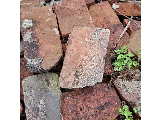 Partij diverse metselstenen op 5x pallet - afbeelding 12 van  15