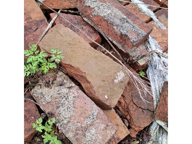 Partij diverse metselstenen op 5x pallet - afbeelding 13 van  15