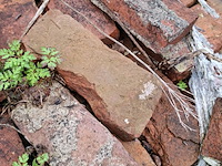 Partij diverse metselstenen op 5x pallet - afbeelding 13 van  15