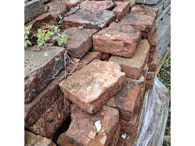 Partij diverse metselstenen op 5x pallet - afbeelding 3 van  12