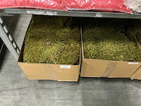 Partij diverse moss/elastieken/bloemenflesjes/decoratie (76x) - afbeelding 6 van  16