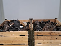 Partij diverse schoenen - afbeelding 1 van  11