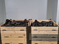 Partij diverse schoenen