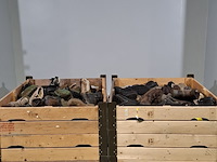 Partij diverse schoenen